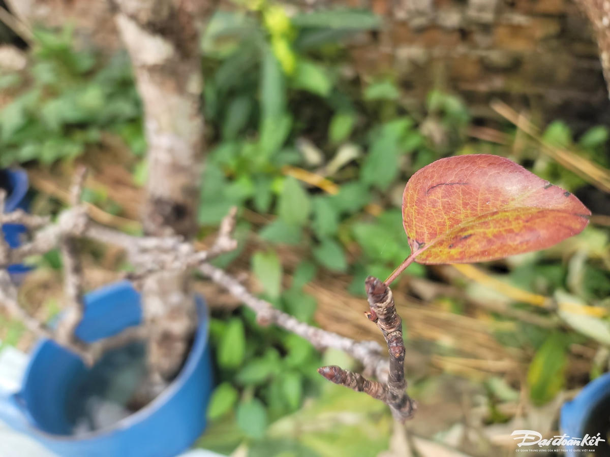 W_d6f93c440166aa38f377.jpg