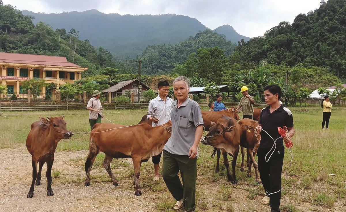 Huyện Lâm Bình (Tuyên Quang) thực hiện tốt chính sách cho đồng bào dân tộc thiểu số trên địa bàn huyện.