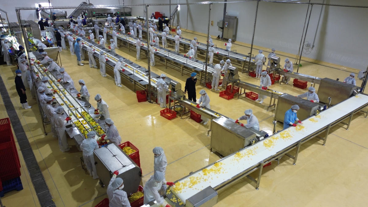 Trung tâm chế biến rau quả Doveco Sơn La sẽ mang lại nhiều giá trị tốt đẹp, bền vững trong tương lai.