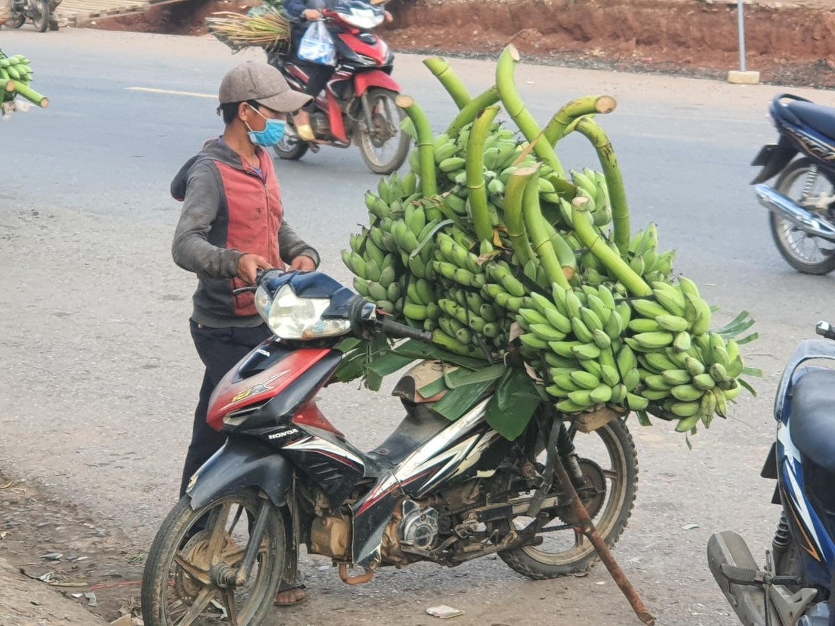 Chuối được bán theo buồng hoặc theo trọng lượng.