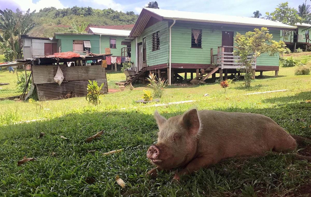 Thị trấn Vunidogoloa của Fiji đã được tái định cư do mực nước biển dâng cao vào năm 2014. Ảnh: Getty Images.  
