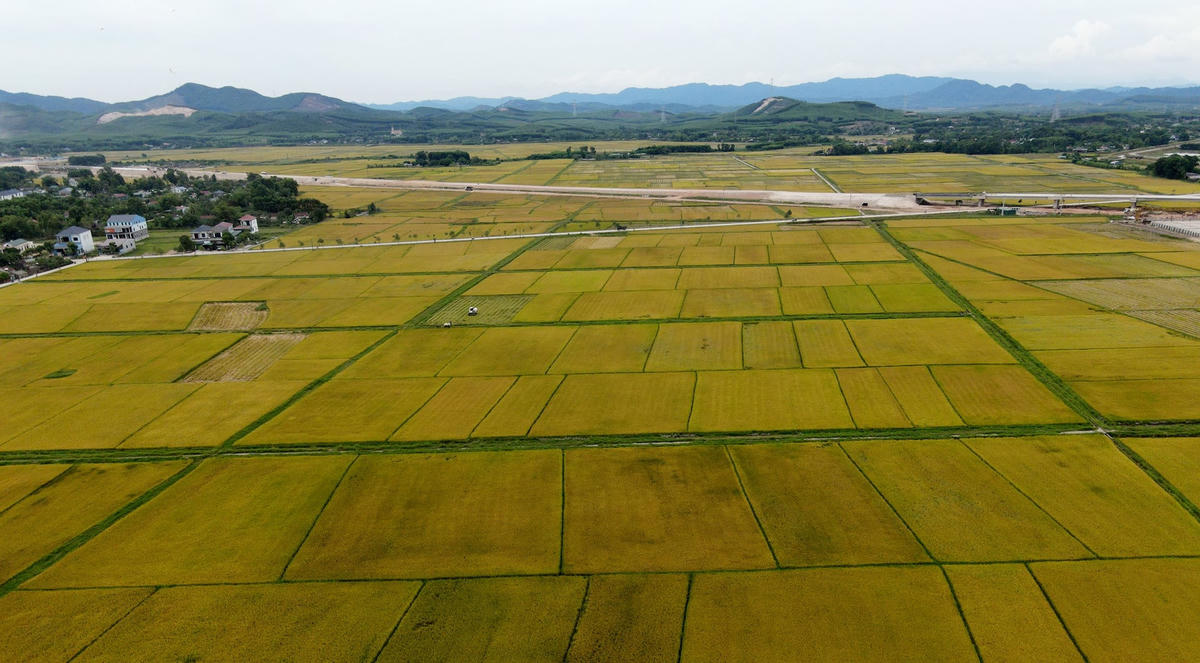 dji_0278.jpg