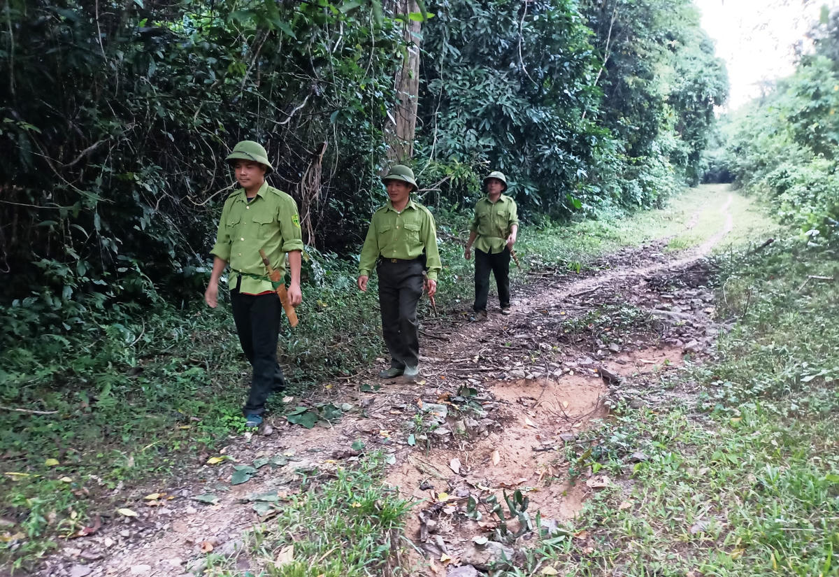 Đường vào Khe Tòng.  