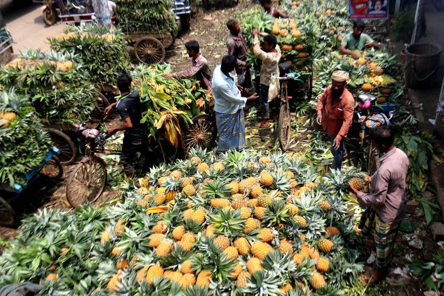Công nhân chế biến dứa tại một chợ bán buôn ở Tangail, Bangladesh. Ảnh: Tân Hoa Xã.