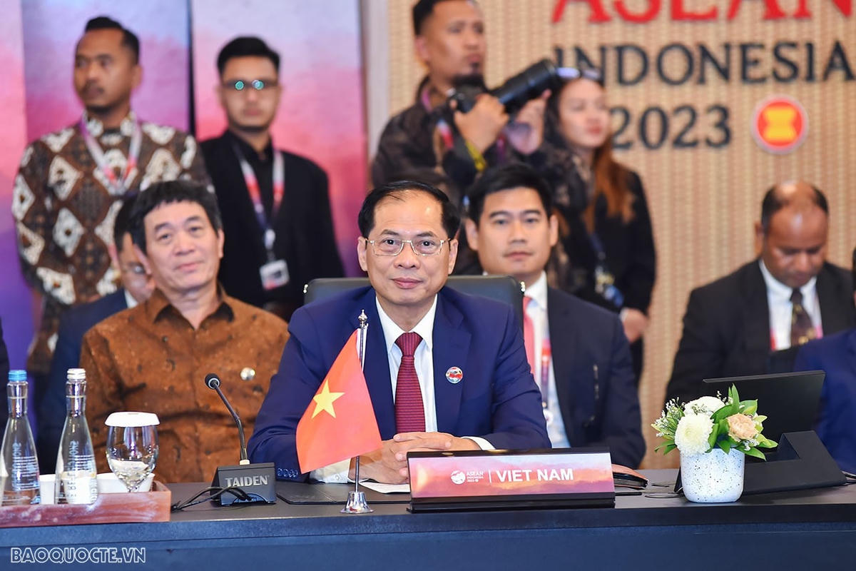 Bộ trưởng Ngoại giao Bùi Thanh Sơn dự phiên toàn thể AMM-56-Ảnh:baoquocte.vn