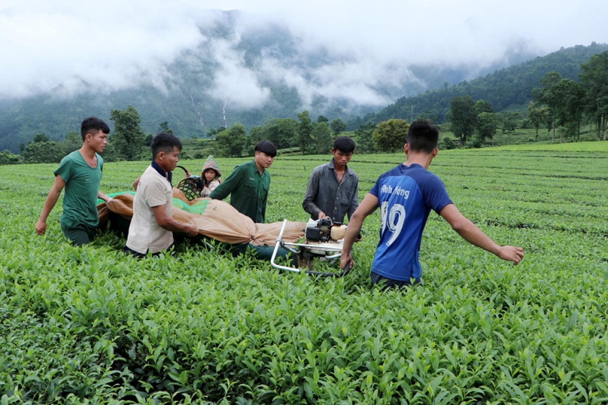 Người dân huyện Tân Uyên đổi đời nhờ sản xuất chuyên canh tập trung. Ảnh: Khắc Kiên.