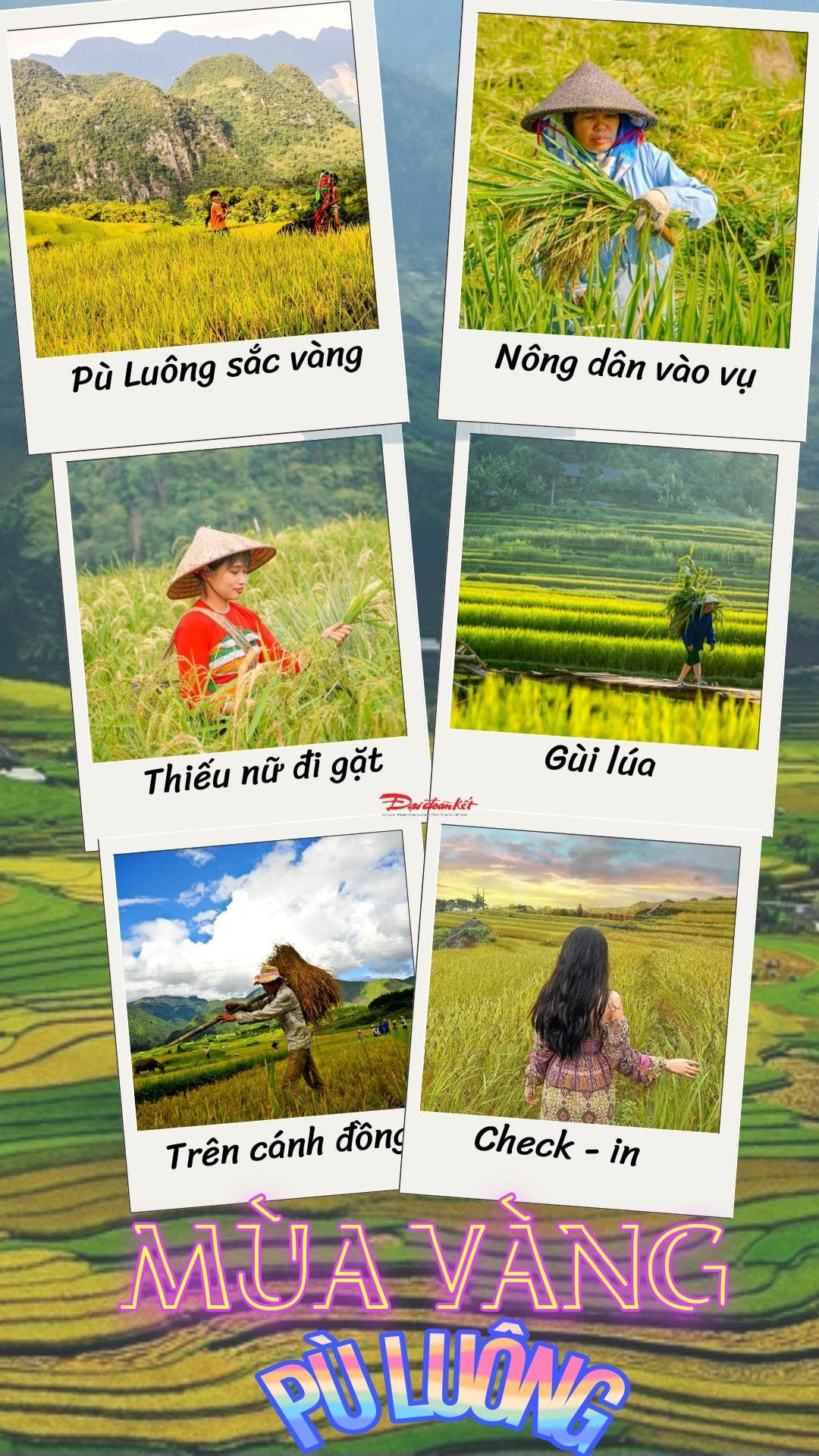 picsart_23-11-30_01-53-38-748.jpg