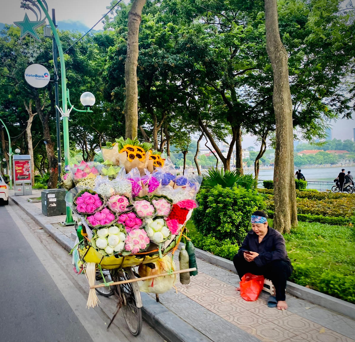 Khi những cánh sen tỏa hương thơm ngát khắp các đầm ở khu vực Hồ Tây cũng là lúc những xe hoa chở sắc hồng mùa hè đến với người dân Hà Nội. Ảnh: Thu Quỳnh.  
