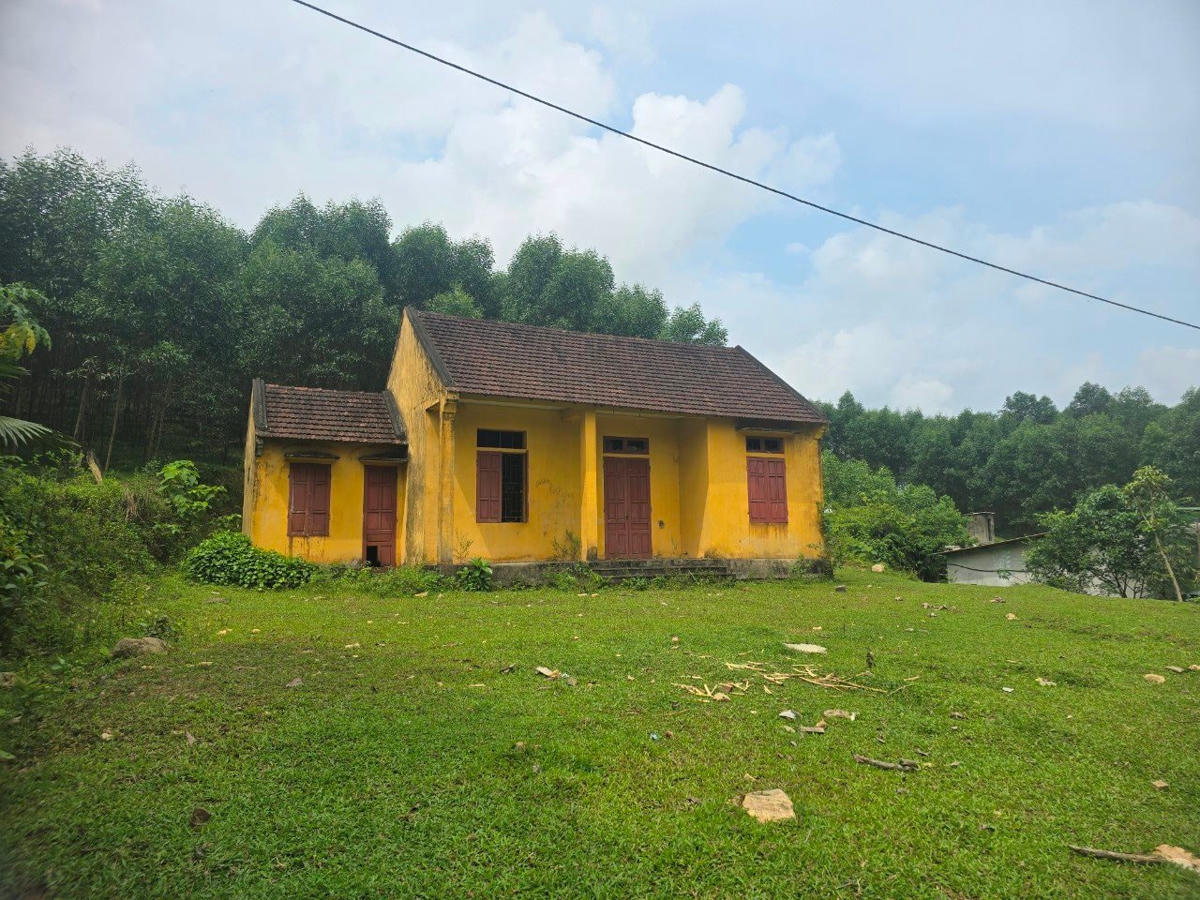 anh-bai-tren(5).jpg