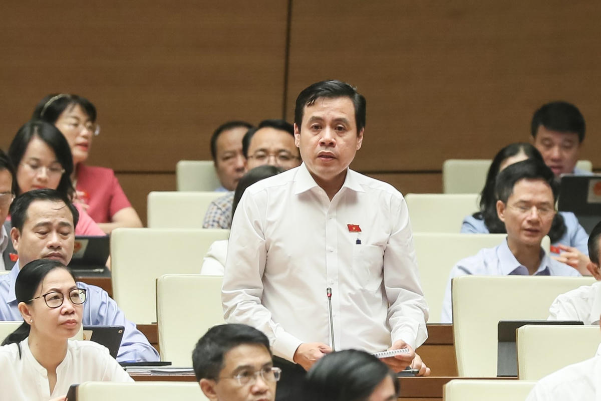 Ông Trần Anh Tuấn phát biểu. Ảnh: Quang Vinh.