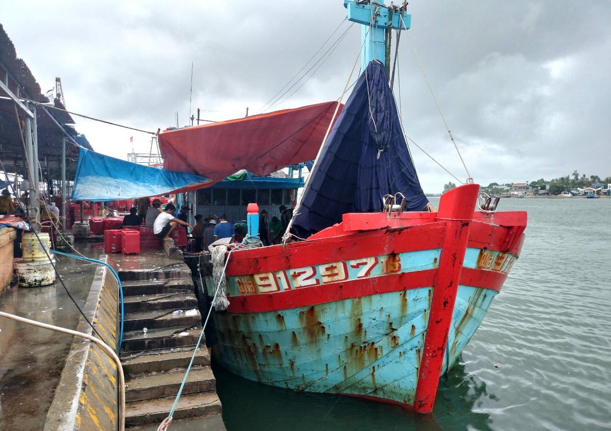 Tàu cá QNa 91297 TS cập cảng Tam Quang bán cá cho thương lái.