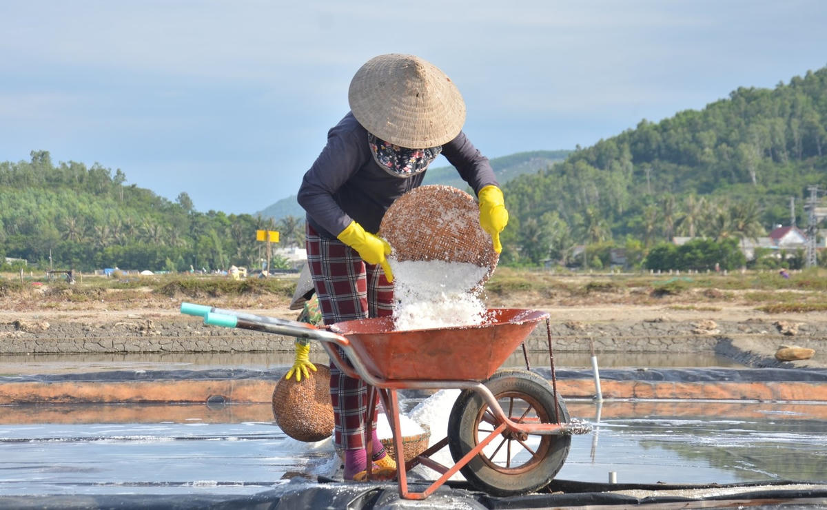 Diêm dân thu hoạch muối muối tại cánh đồng ruộng muối.