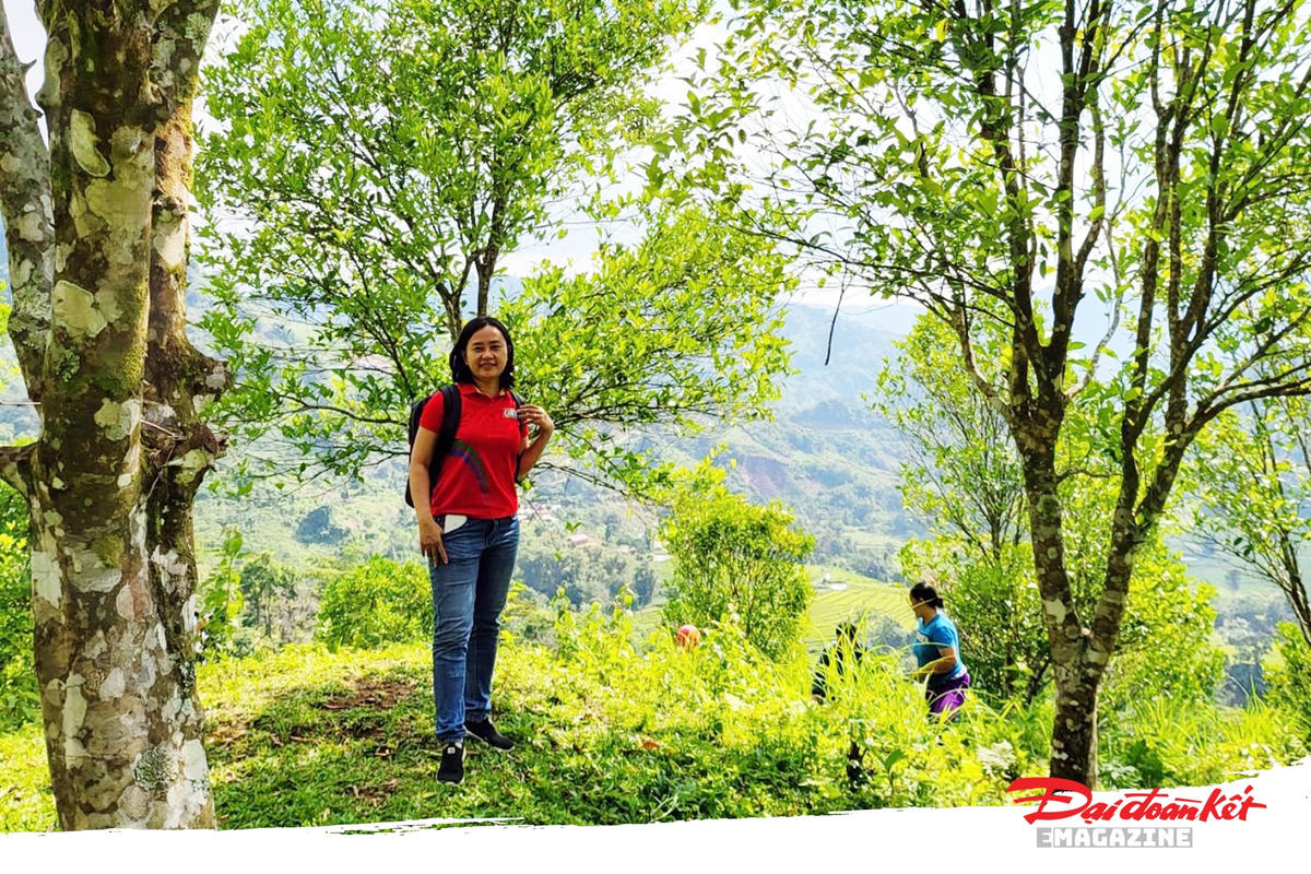 Vườn cam của anh Dung thu hút khách tham quan.