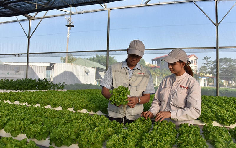 Phát triển kinh tế tuần hoàn góp phần thúc đẩy tăng trưởng xanh. Ảnh: Ảnh Quang Vinh.