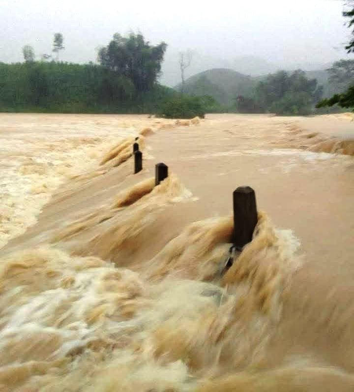 Bão số 5.3