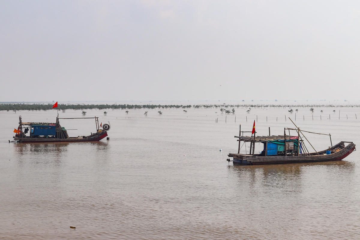 Trước thực trạng thiếu đất sản xuất, xã Ngư Lộc đã đề nghị được quan tâm để quy hoạch đô thị ở địa phương. Về phía người dân, họ mong muốn quai đê lấn biển để mở rộng khu dân cư, xây dựng khu sản xuất, nhà xưởng lớn. Ảnh: Đình Minh