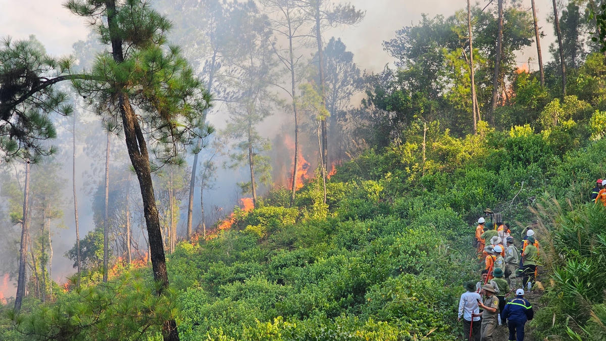 Lực lượng chức năng đang nỗ lực khống chế đám cháy.