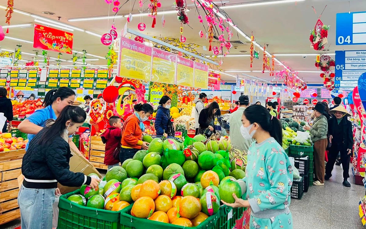 Tim đầu raThị trường nội địa