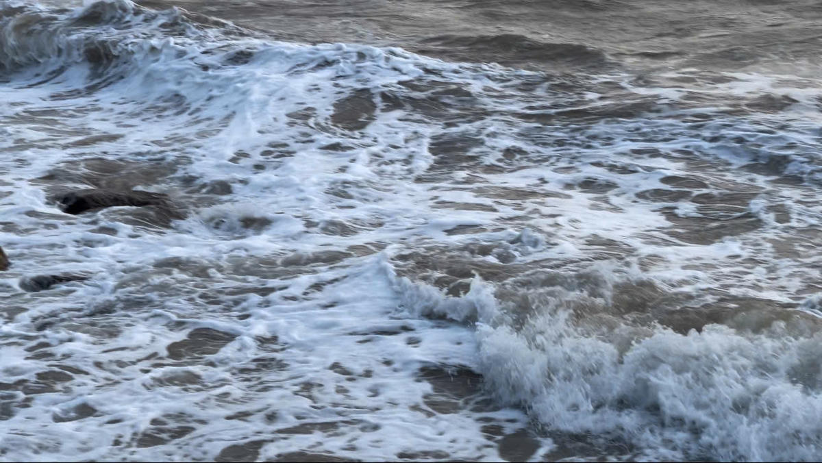 Ảnh minh họa: T.N