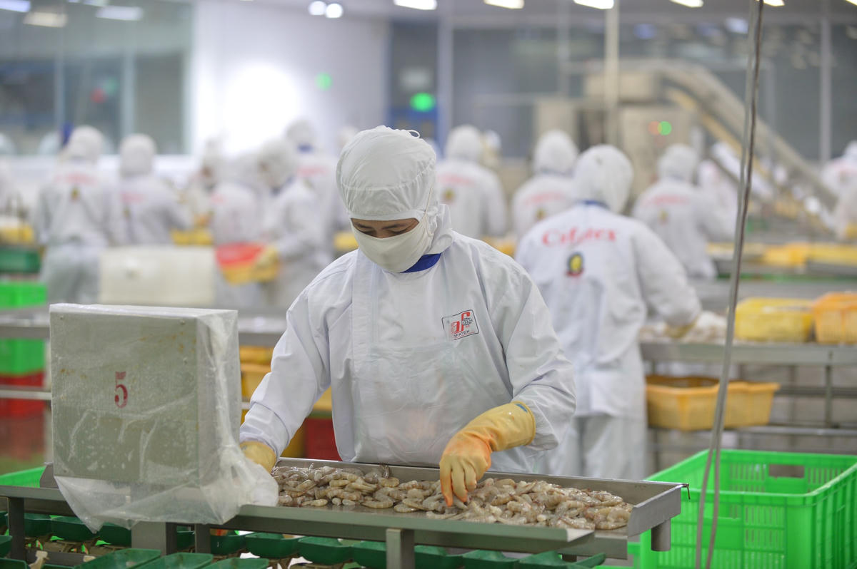 Các doanh nghiệp đã và đang nỗ lực mở rộng không gian cho nông, lâm, thủy sản xuất khẩu. Ảnh: Quang Vinh.