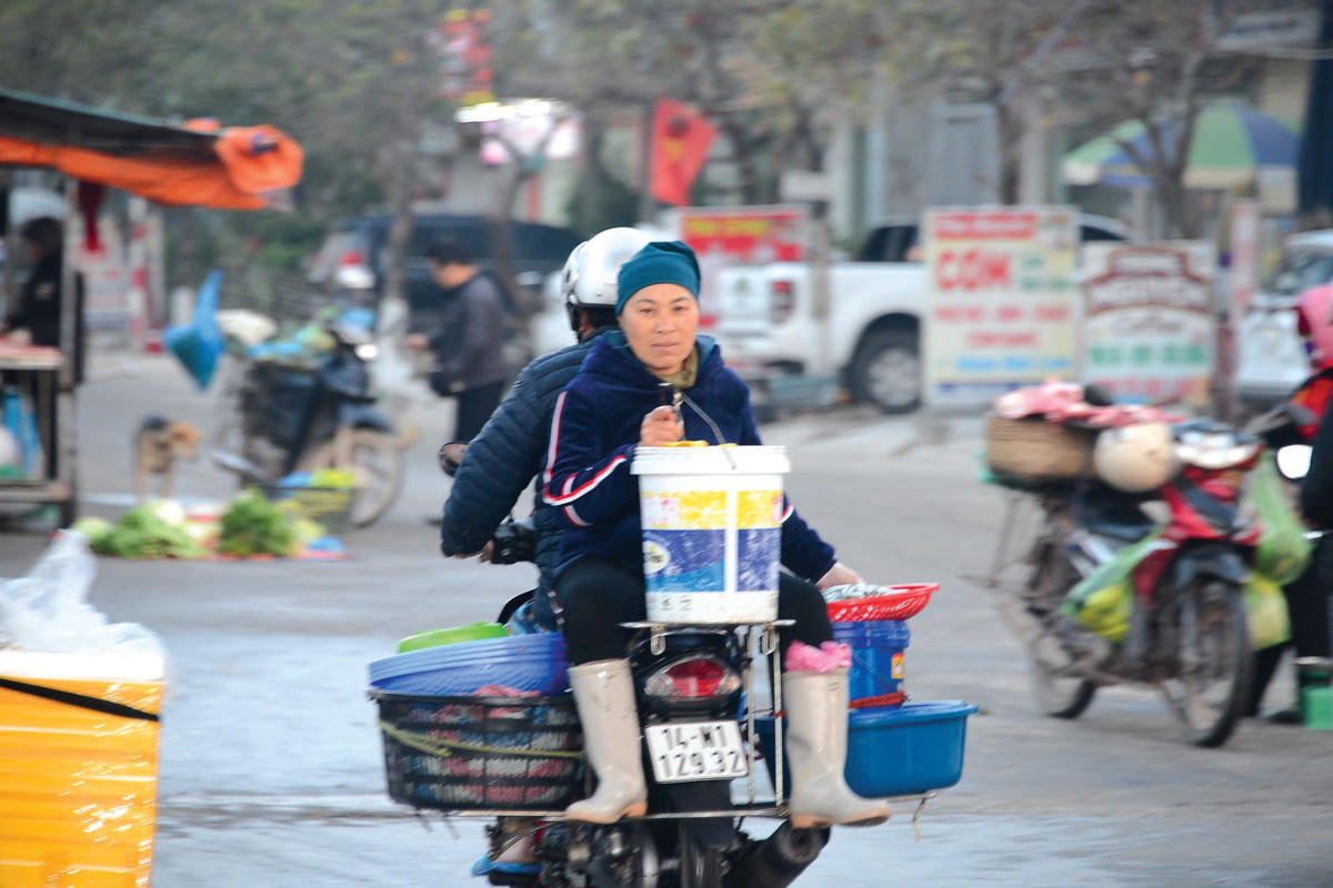 Người bán lẻ hải sản chở hàng về các khu chợ, chuẩn bị cho một ngày mới.  