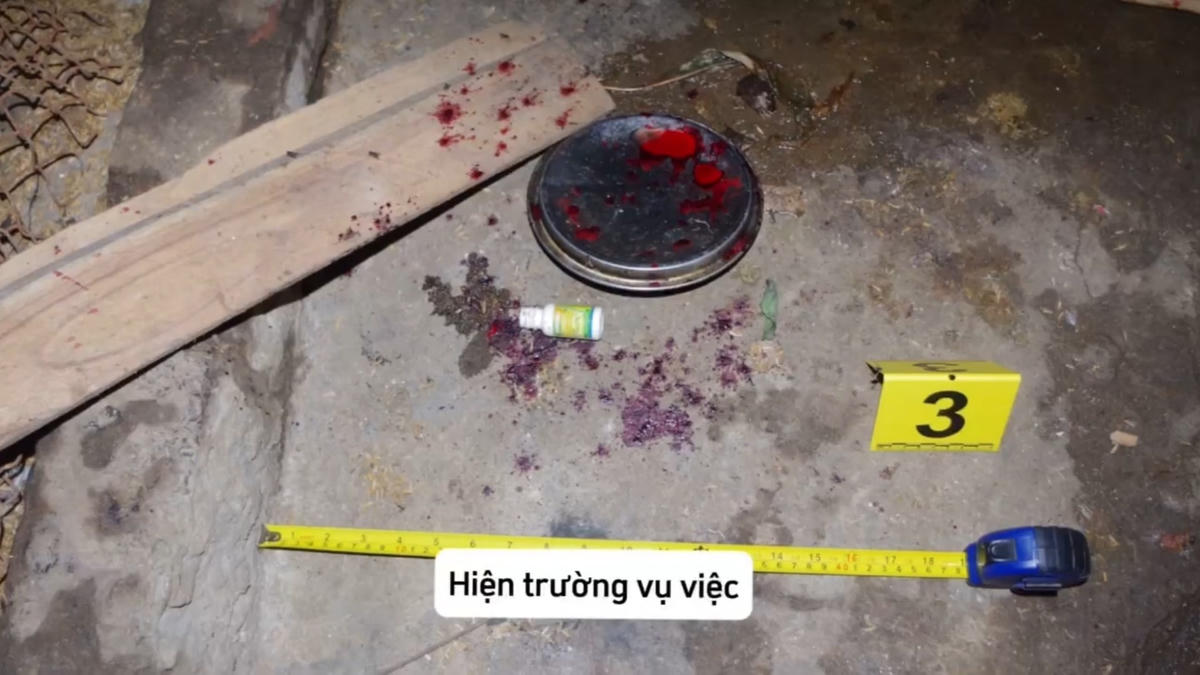 Bị ông Dũng phát hiện khi đang trộm, Minh đã rút dao, đâm ông Dũng trọng thương.