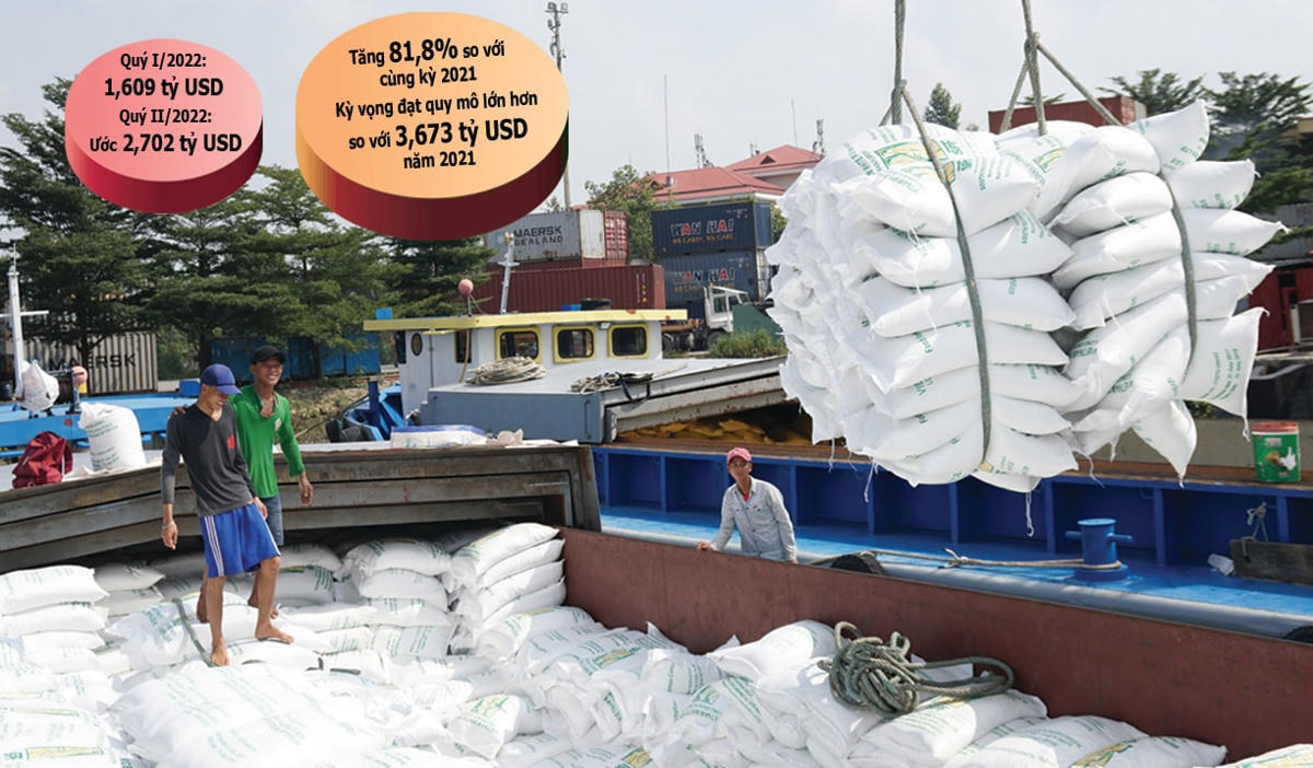 Những tín hiệu khả quan trong xuất khẩu những tháng đầu năm 2022. Ảnh: Quang Vinh