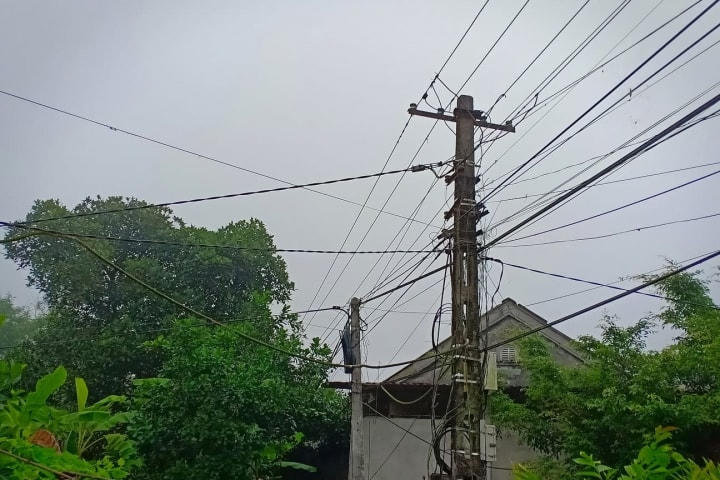 Vẫn còn tình trạng vi phạm hành lang an toàn điện.
