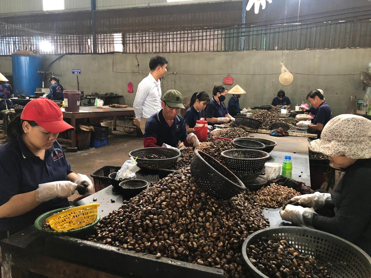 Doanh nghiệp nhỏ và vừa có vị trí quan trọng trong nền kinh tế quốc dân.