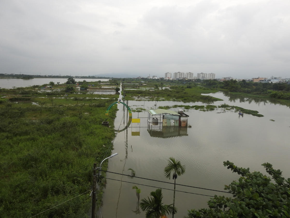 Vùng chuyên canh rau La Hường lớn nhất Đà Nẵng bị  xóa sổ do nước sông dâng cao trong đợt mưa kéo dài từ đêm 13 đến sáng 16/10. Ảnh: Thanh Tùng.