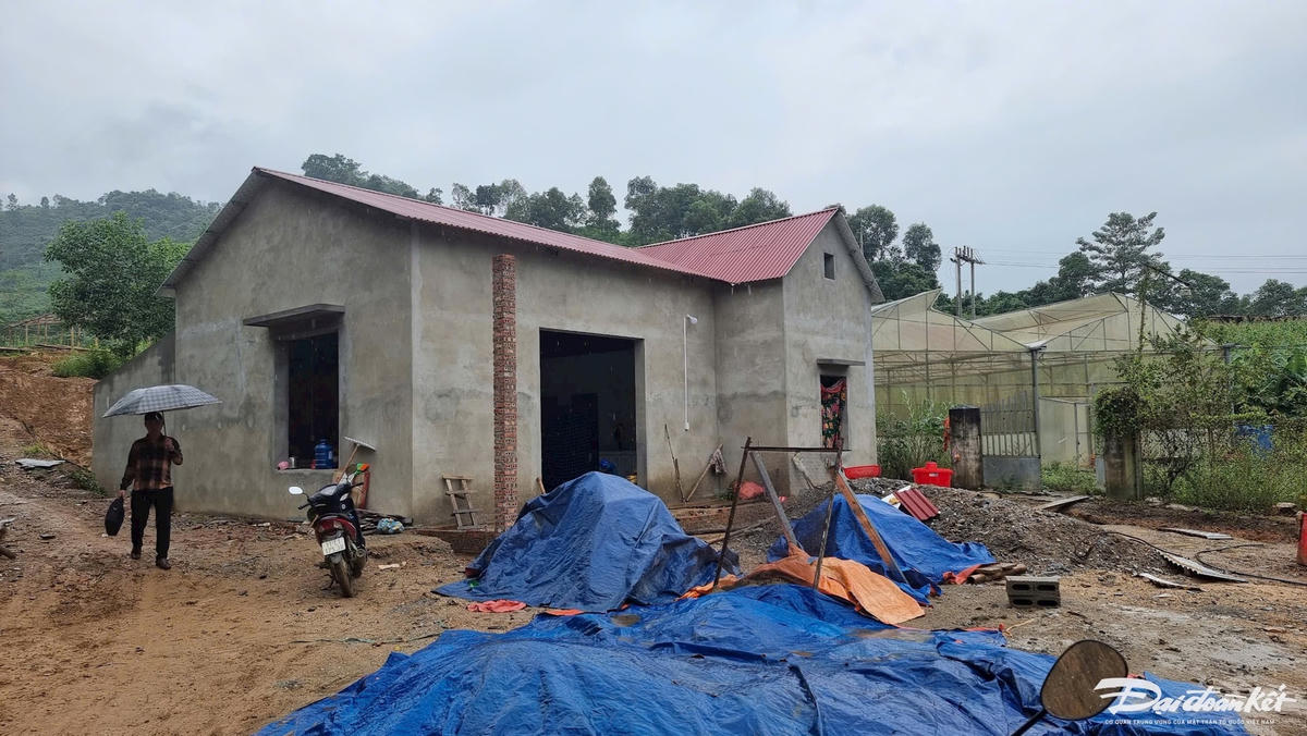 1 Bảo Lâm