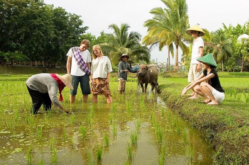 Cú hích cho du lịch nông nghiệp