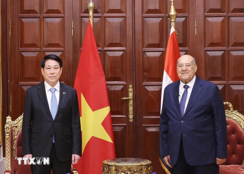 Chủ tịch nước Lương Cường hội kiến Chủ tịch Thượng viện Ai Cập Abdel-Wahab Abdel-Razek. (Ảnh: Lâm Khánh/TTXVN)