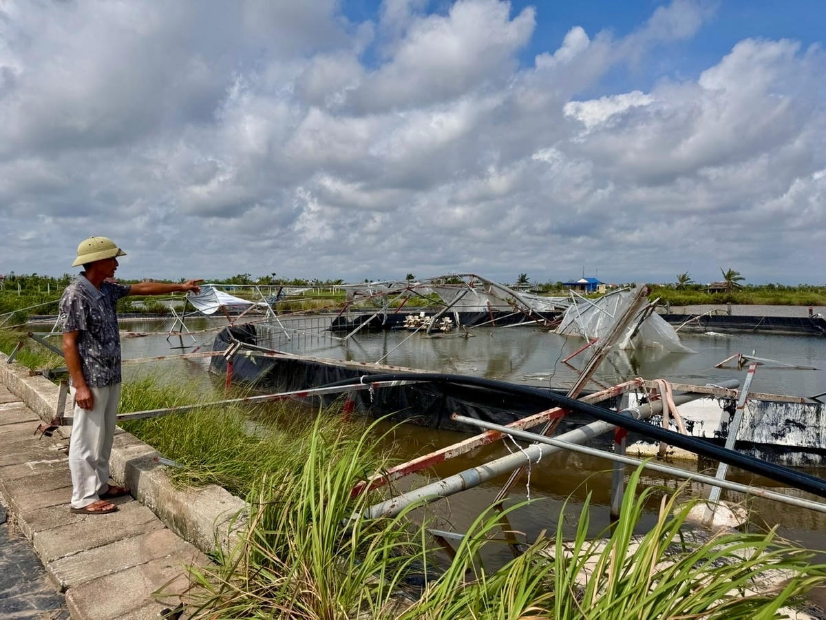 bai chinh