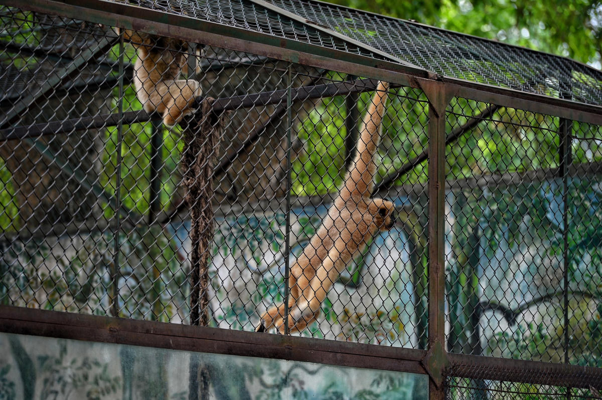 Mặc nắng nóng, Công viên Thủ Lệ đông vui ngày Quốc tế Thiếu nhi