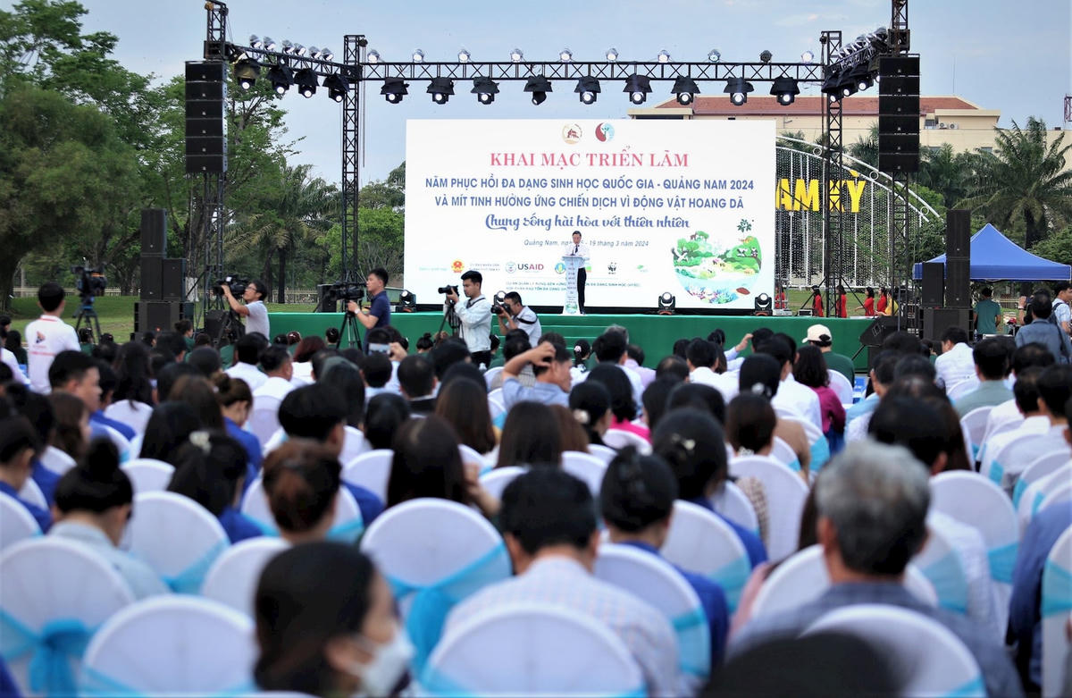 trien-lam-2-8c3592a67ba63ac53a9e52d8704ec8ce.jpg