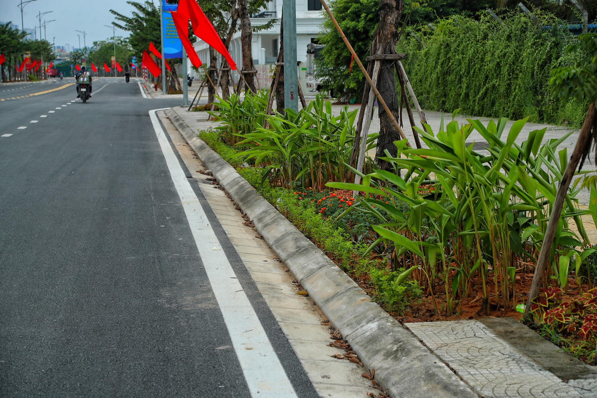 Hệ thống cây xanh cũng được trồng dọc tuyến đường.