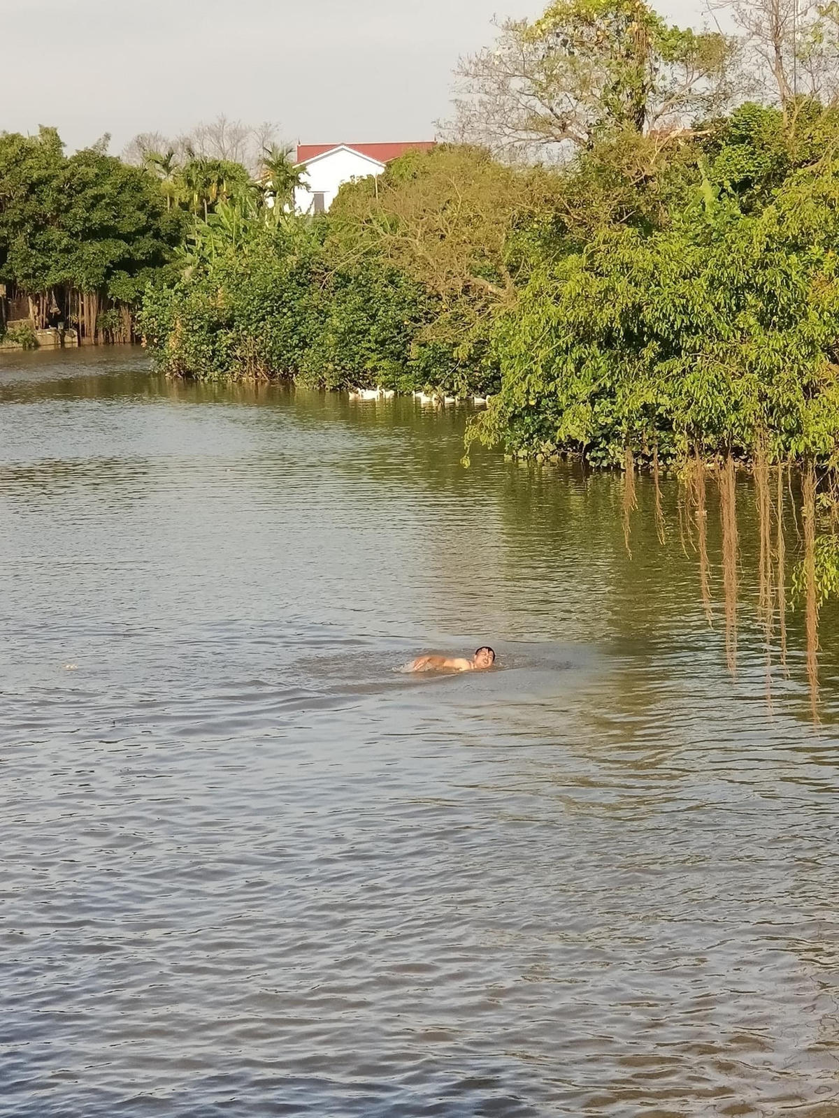 Thợ lặn tìm kiếm nạn nhân.