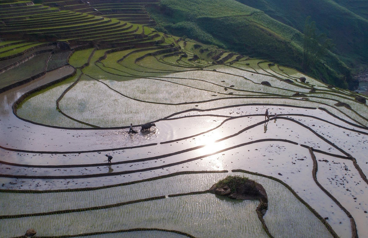 Dưới nước, màu nước 