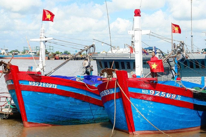Tỉnh Nam Định hiện có 1.782 tàu cá (5.358 lao động) khai thác thủy sản trực tiếp trên biển.