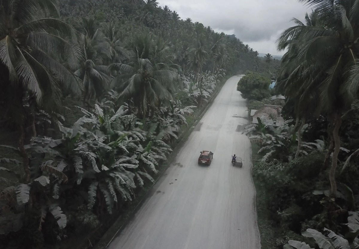 Một bức ảnh chụp từ trên không cho thấy thảm thực vật phủ đầy tro bụi. Ảnh: Getty Images.
