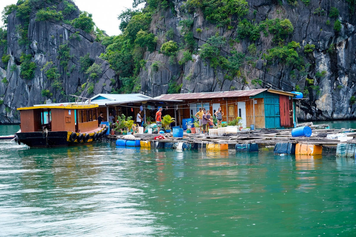 Hải Phòng: Hết 31/12 phải hoàn thành tháo dỡ lồng nuôi cá trên vịnh Cát Bà