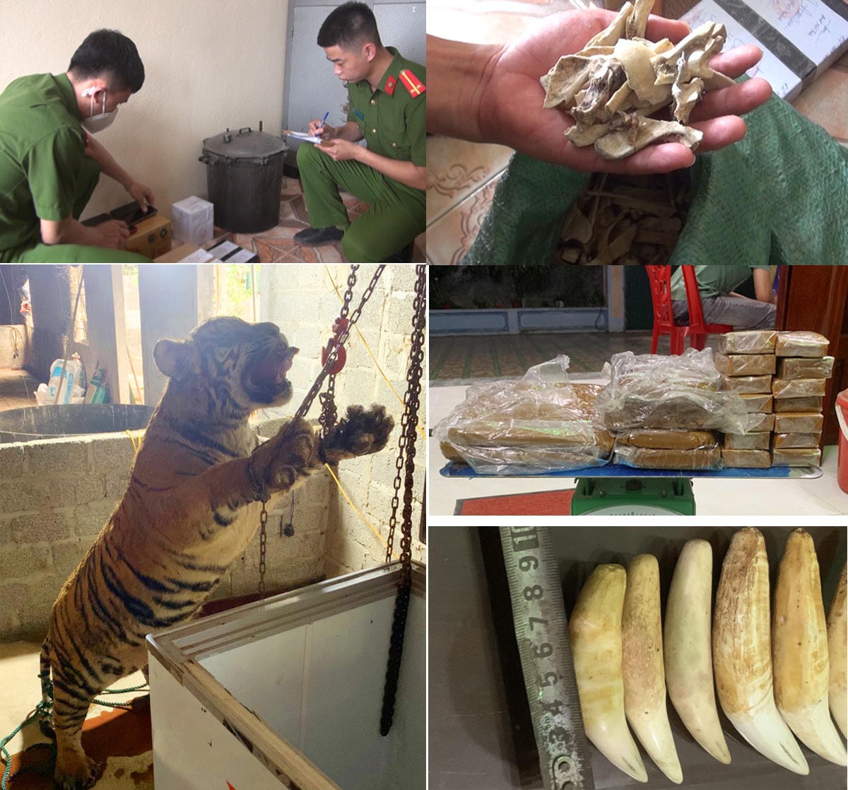 Tang vật Công an thu giữ tại nhà Đỗ Văn Lấn.