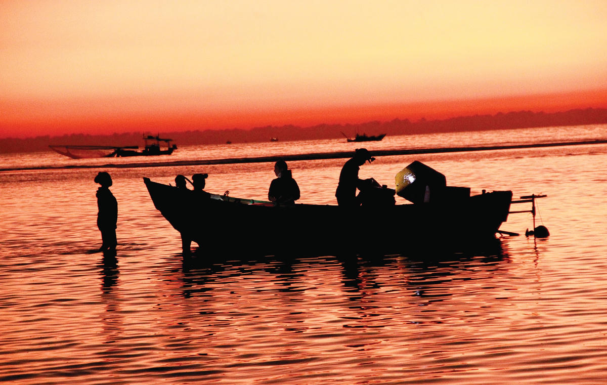 Khoảng 3h sáng, từng tốp tàu thuyền nối đuôi nhau vào cập bến Cồn Gò sau một đêm vươn khơi