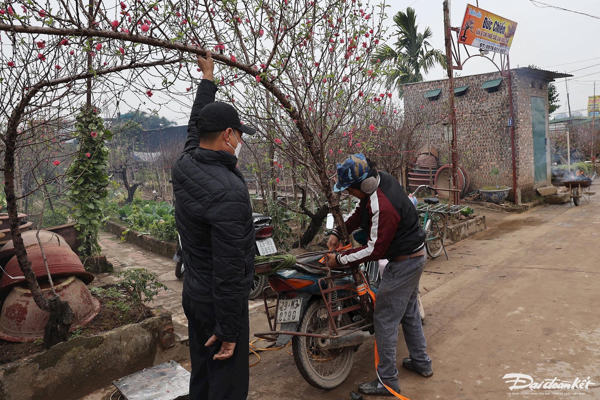 W_dao_nhat_tan-le-khanh4.jpg