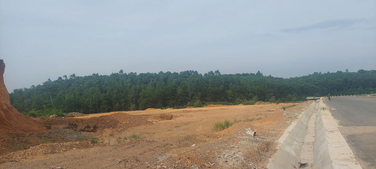 Nguyễn Tiến Lâm cùng đồng phạm 