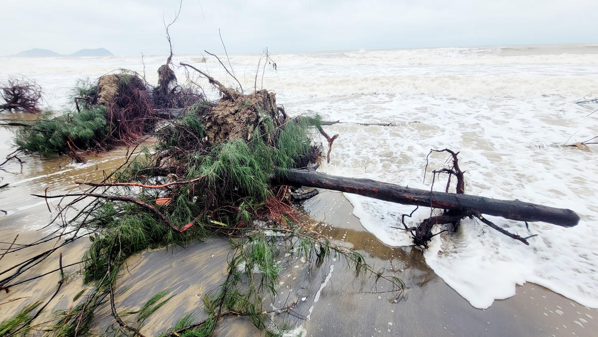 Chính quyền địa phương và các ngành chức năng đang nỗ lực đưa ra các biện pháp chống sạt lở bờ biển này, tuy nhiên chưa có kết quả khả quan.