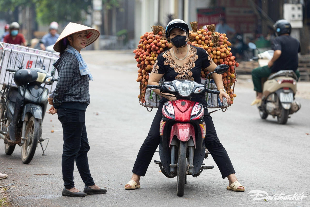 ban_vai-le-khanh14.jpg