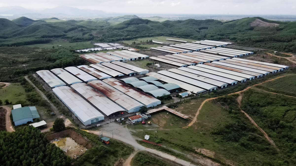 Dự án chăn nuôi bò giống và bò thịt của Công ty Cổ phần Chăn nuôi Bình Hà tại Hà Tĩnh được phê duyệt năm 2015 với tổng vốn đầu tư 4.582 tỷ đồng, diện tích đất sử dụng 2.163 ha tại huyện Cẩm Xuyên và huyện Kỳ Anh với quy mô nuôi 254.200 con bò/năm.