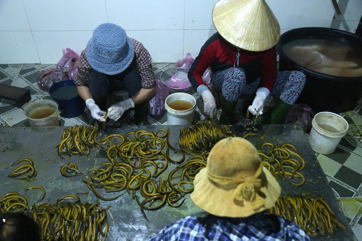 Cơ sở chế biến lươn đồng của chị Nguyễn Thị Ngân.